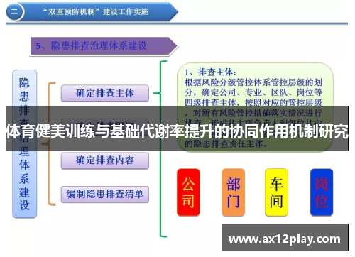 体育健美训练与基础代谢率提升的协同作用机制研究